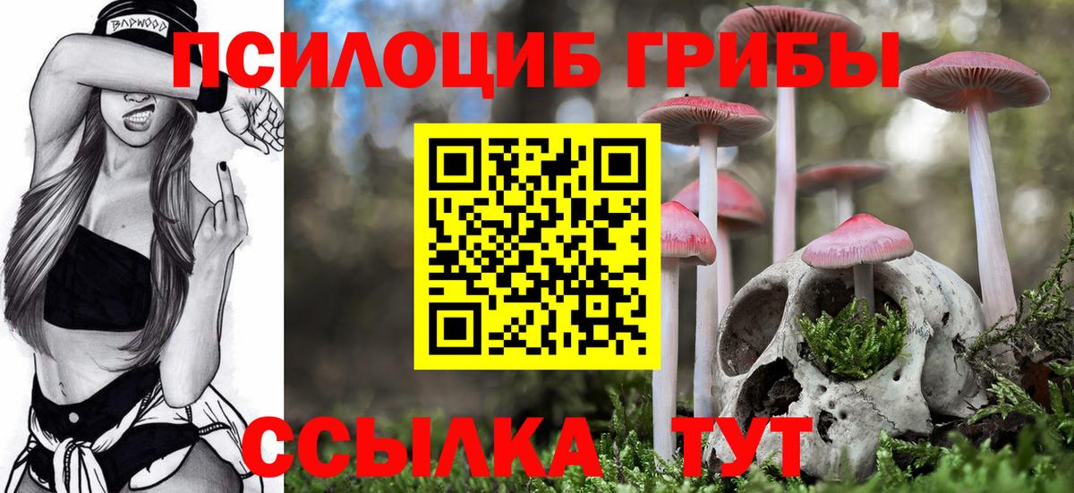Сатка  Галлюциногенные грибы GOLDEN TEACHER  Галлюциногенные грибы Psilocybine cubensis  Вход с VPN 